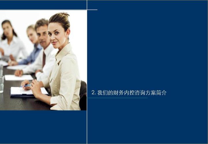 白象食品集团财务内控及绩效管理咨询项目建议书